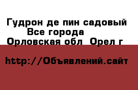 Гудрон де пин садовый - Все города  »    . Орловская обл.,Орел г.